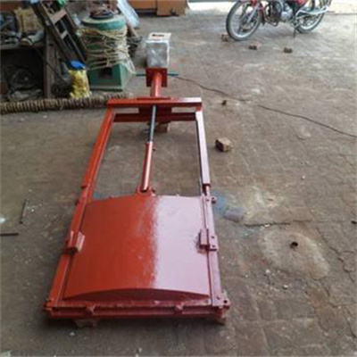 <b>機(jī)閘一體式閘門(mén)</b>