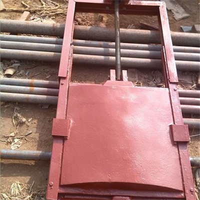 <b>機(jī)閘一體式閘門(mén)</b>