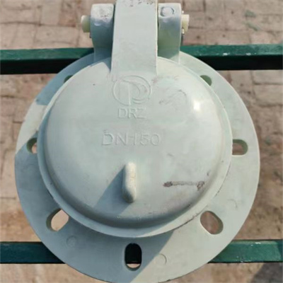 <b>復(fù)合材質(zhì)拍門(mén)</b>